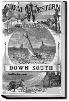 Down South, or Yacht Adventures in Florida | Oliver Optic